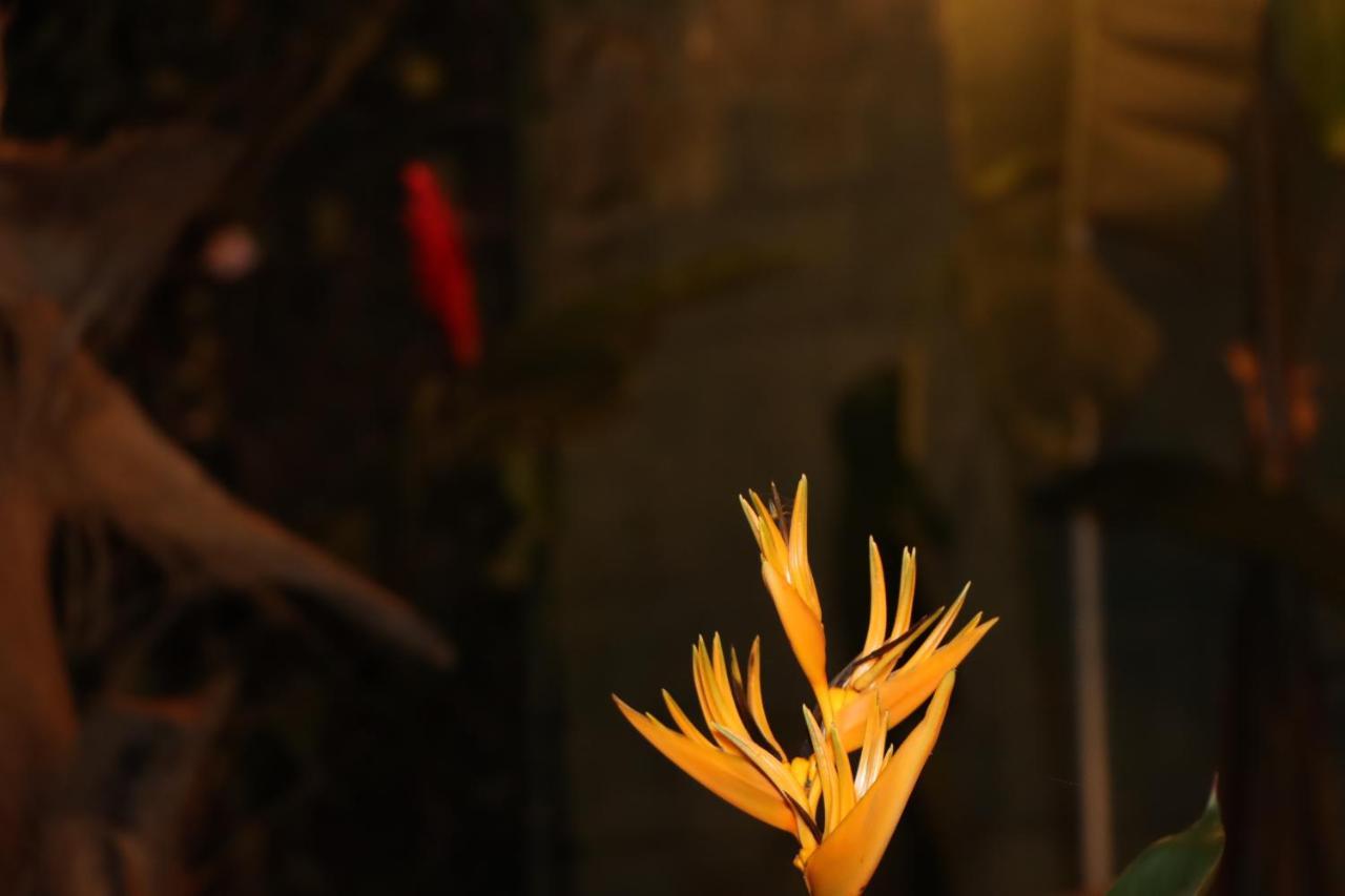 Colonial Residence 康提 外观 照片